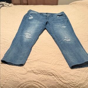 White House Black Market Light Blue Distressed Cropped Jeans
